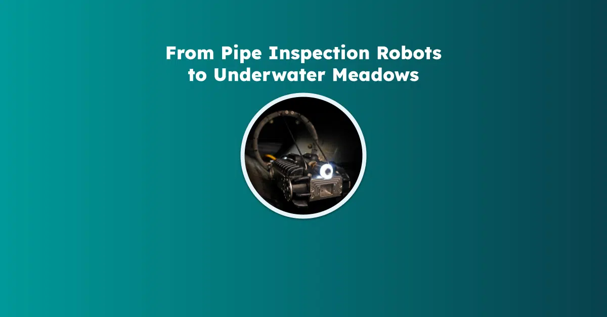 From Pipe Inspection Robots to Underwater Meadows